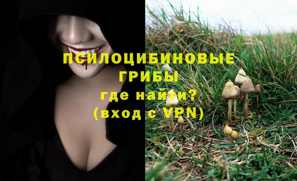 ешки Алексин