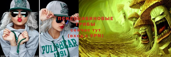 ешки Алексин