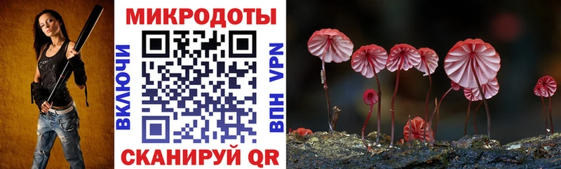 Галлюциногенные грибы Psilocybine cubensis  нарко площадка какой сайт  Кириши 