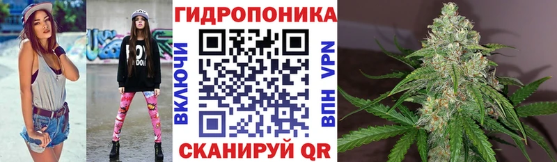 Конопля планчик  Кириши 